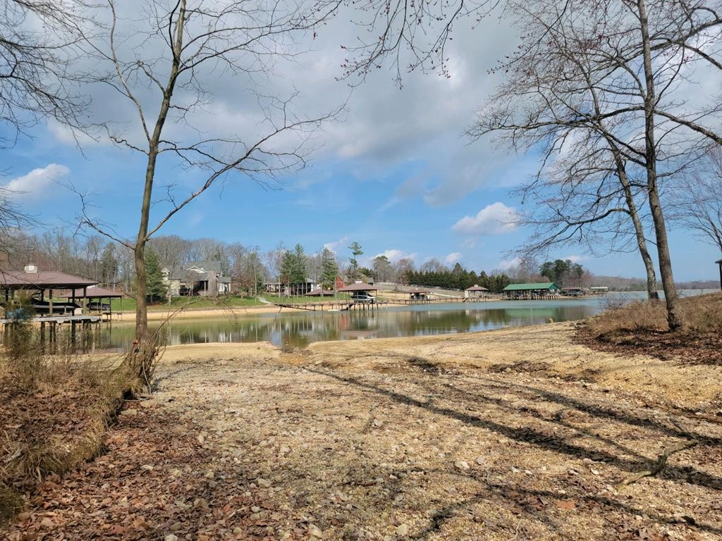 0 Waterfront Way Spring City, TN 37381 - Photo 17 of 31 Gallery Image 17