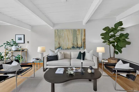 a living room with furniture flowerpot and a potted plant