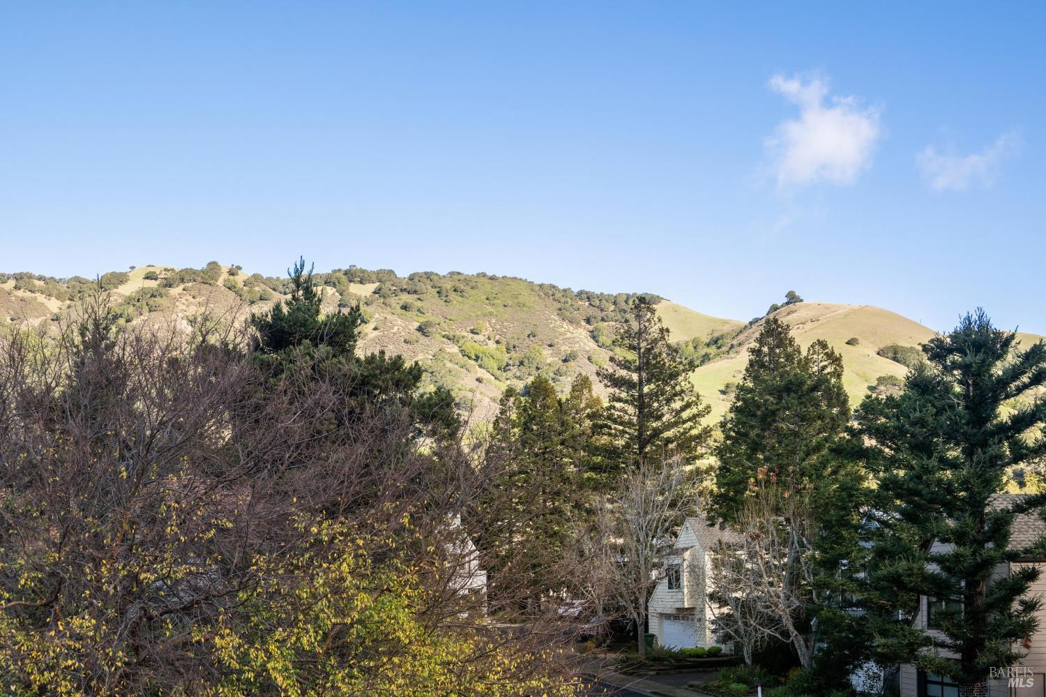 5 Creekside Drive San Rafael, CA 94903 - Photo 47 of 64