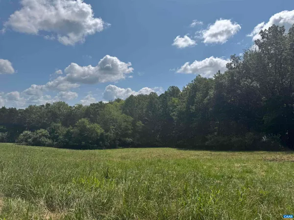 a view of a grassy field with an trees