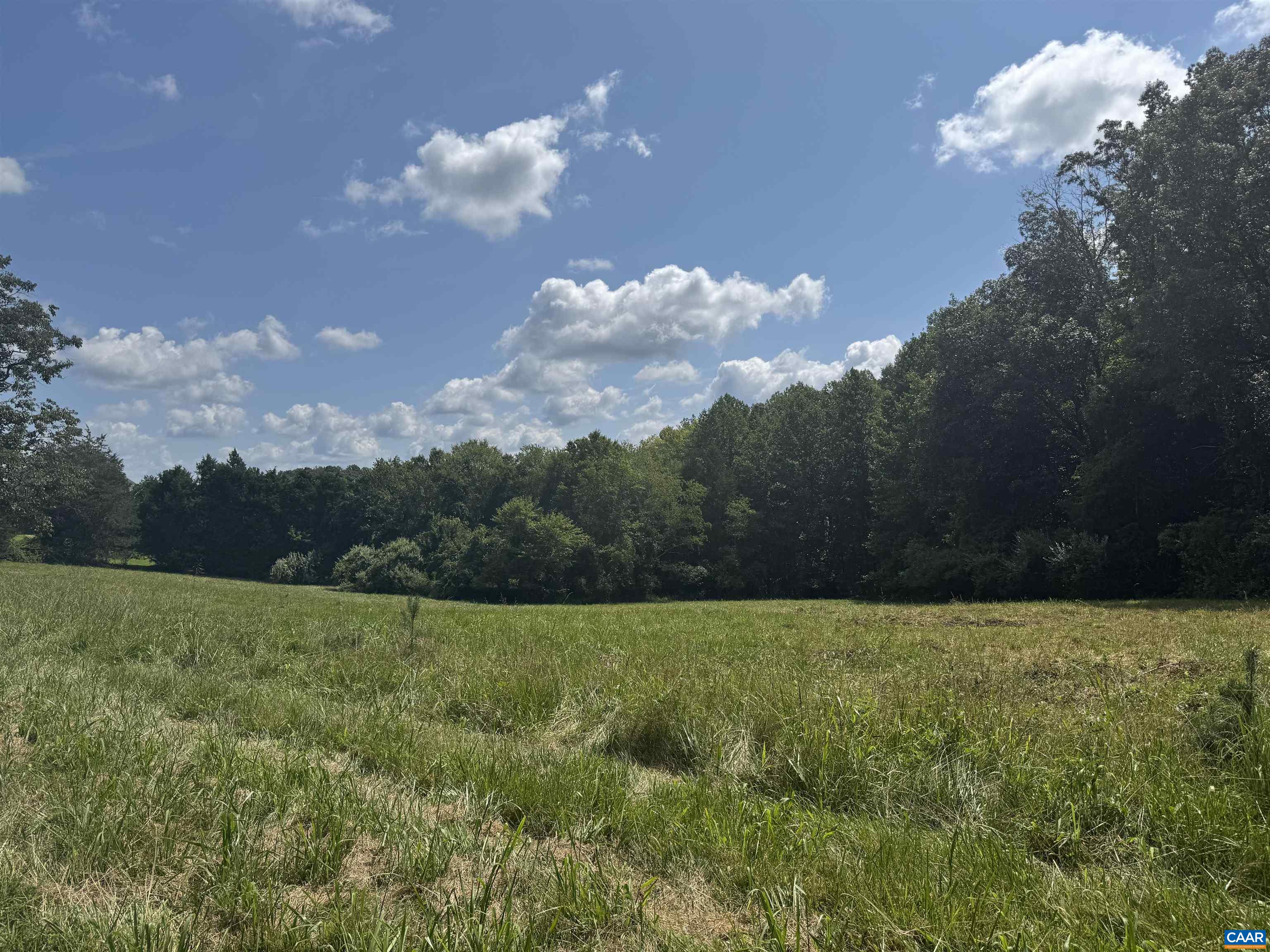 1 Frays Ridge Road Earlysville, VA 22936 - Photo 4 of 11