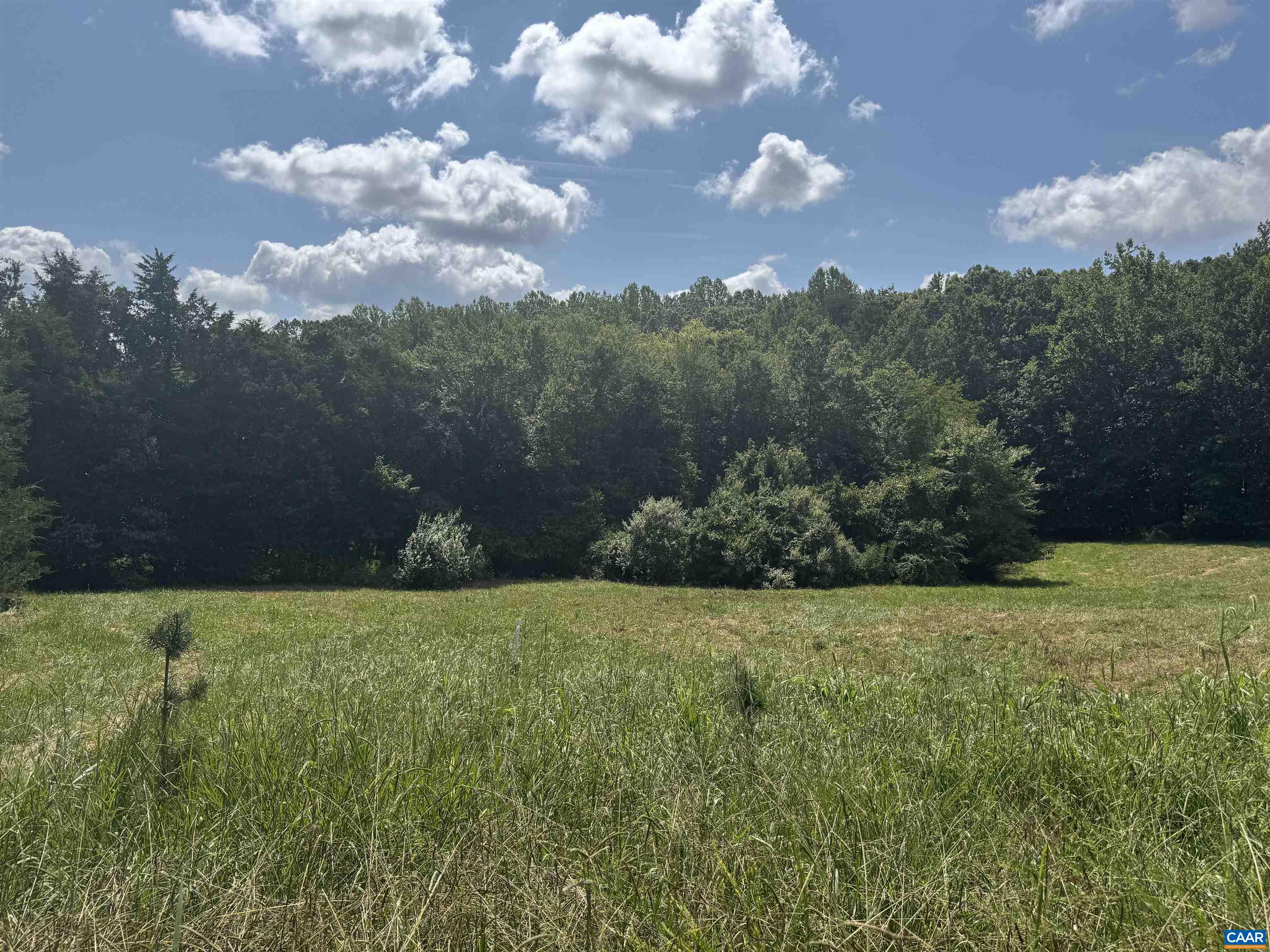 1 Frays Ridge Road Earlysville, VA 22936 - Photo 5 of 11 a view of a garden with a building in the background