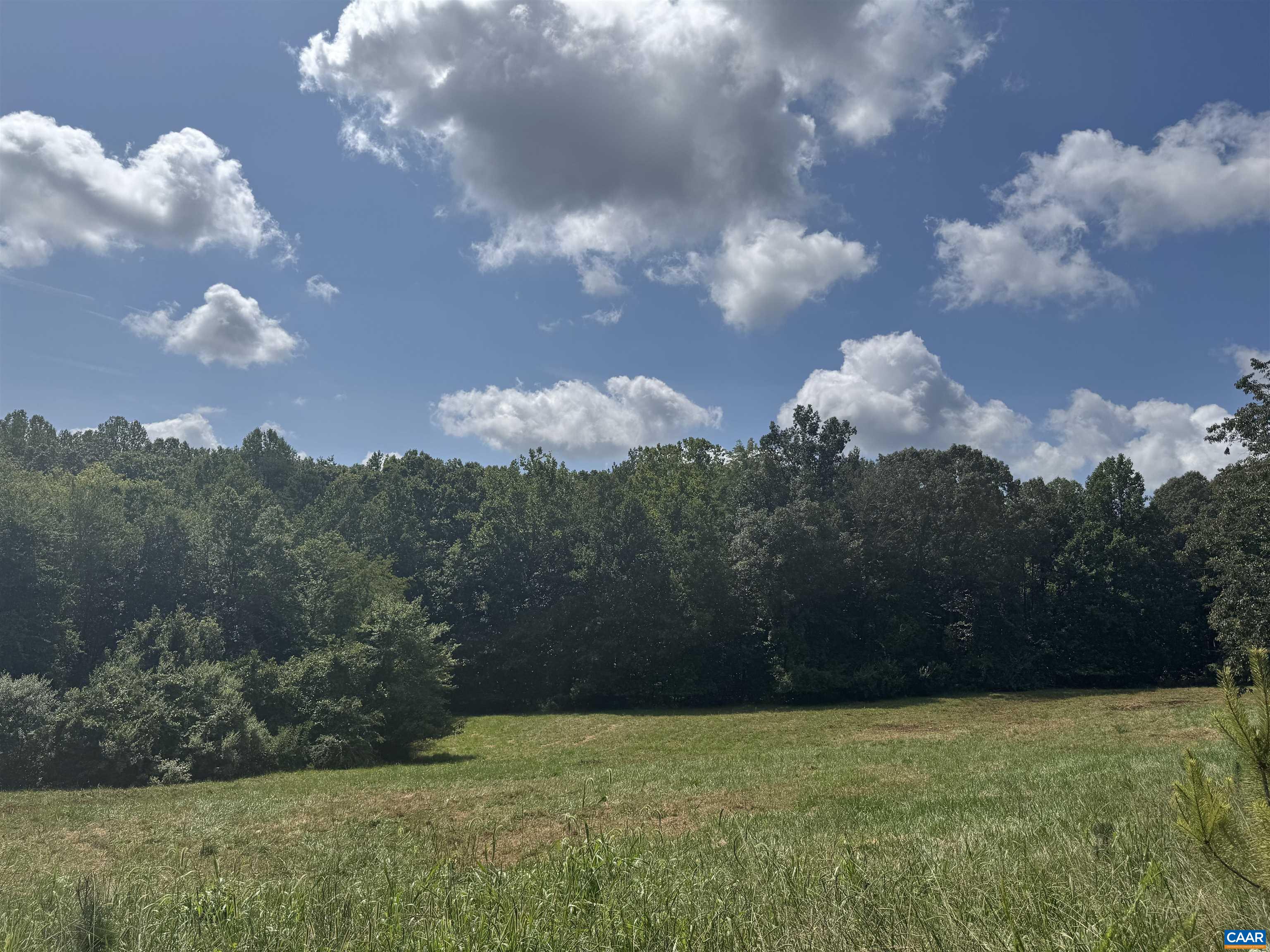 1 Frays Ridge Road Earlysville, VA 22936 - Photo 6 of 11 a view of a yard