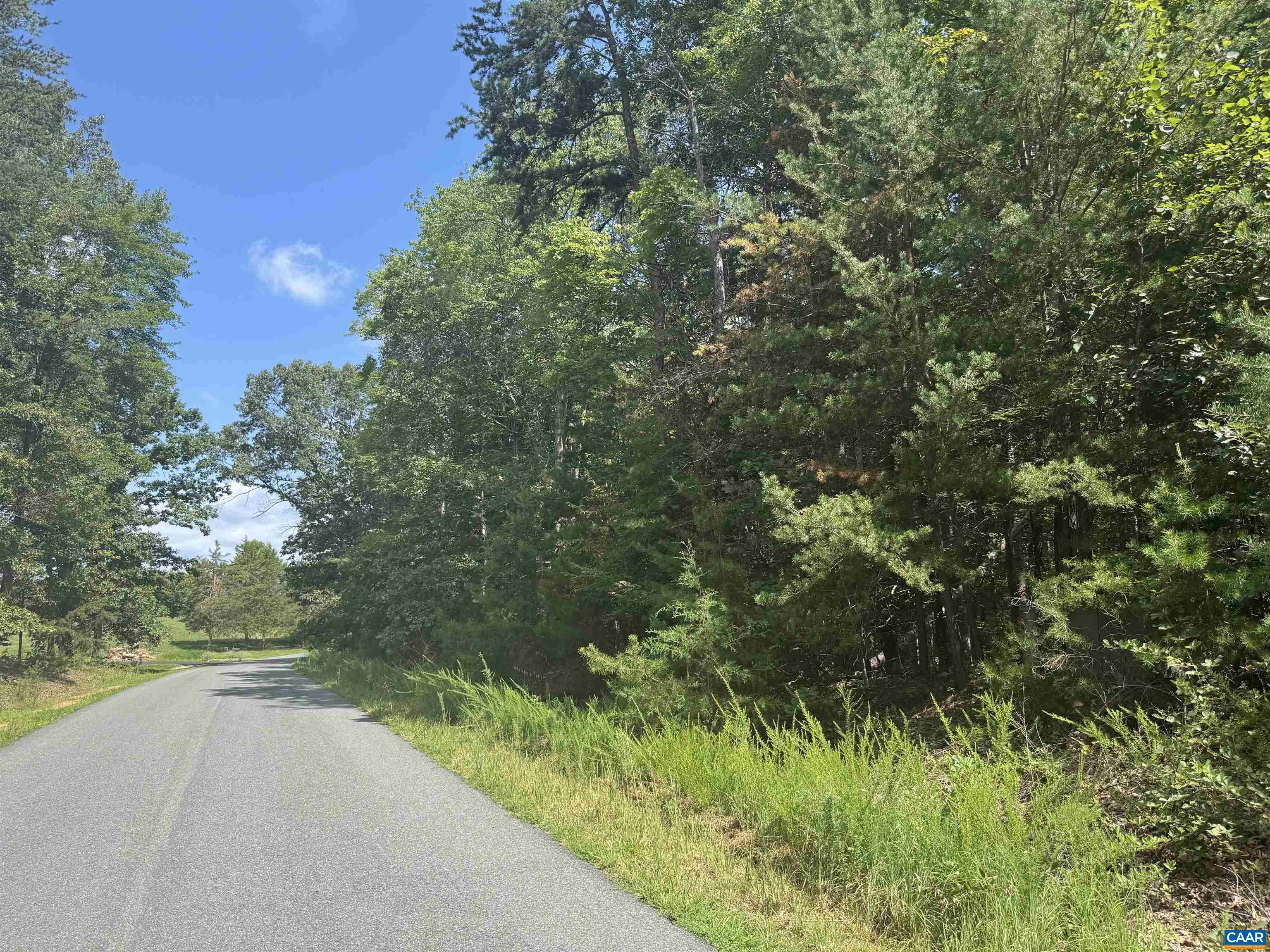 1 Frays Ridge Road Earlysville, VA 22936 - Photo 8 of 11 a view of a forest with a tree