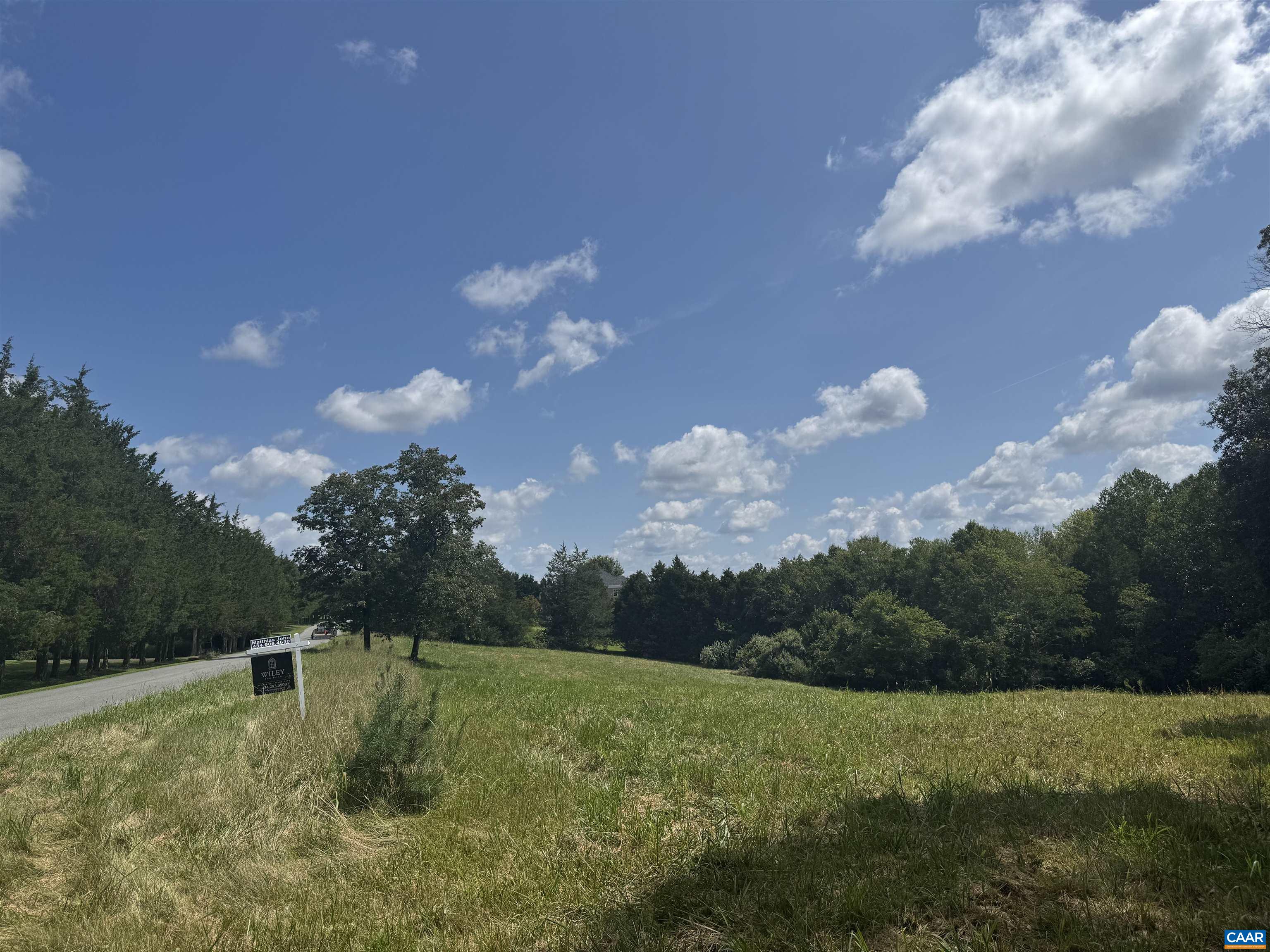 1 Frays Ridge Road Earlysville, VA 22936 - Photo 10 of 11 a view of a big yard with a large trees