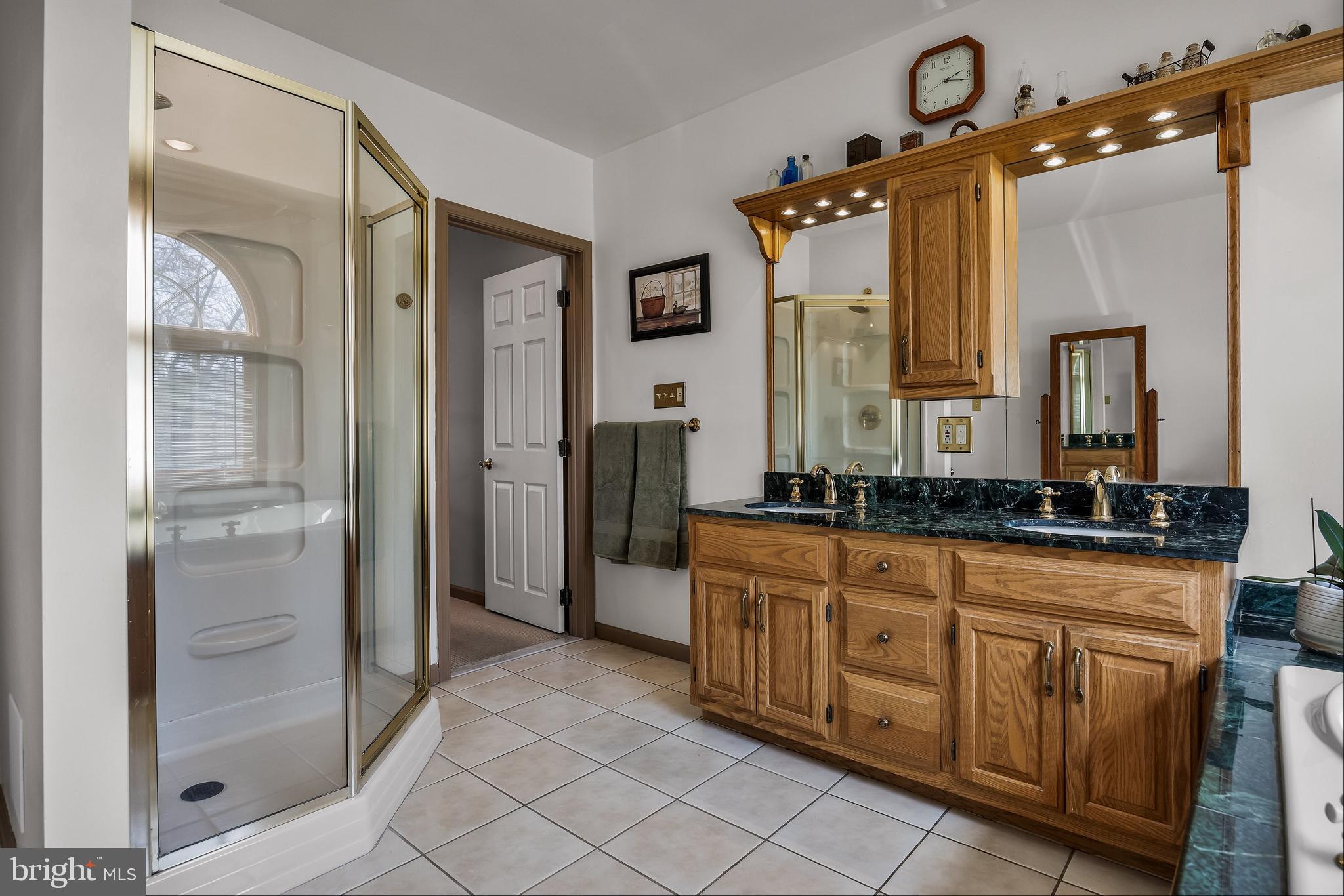 446 Prospect Avenue West Berlin, NJ 08091 - Photo 25 of 54 a bathroom with a granite countertop sink a mirror and a shower