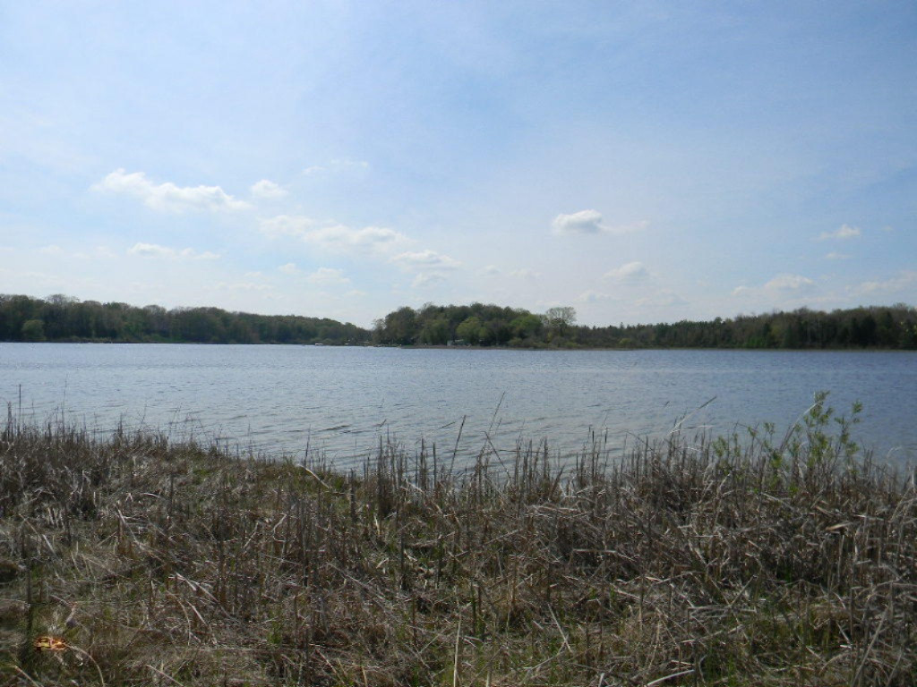 DSCN3289