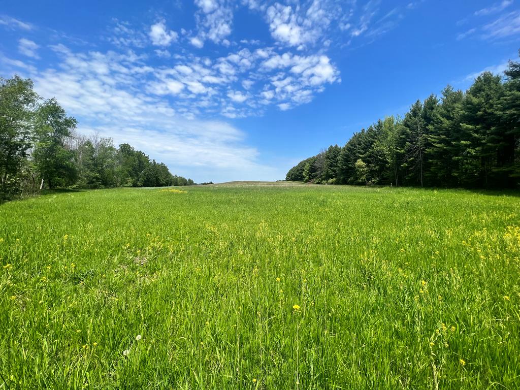 East Center Road Forestville, WI 54213 - Photo 1 of 15