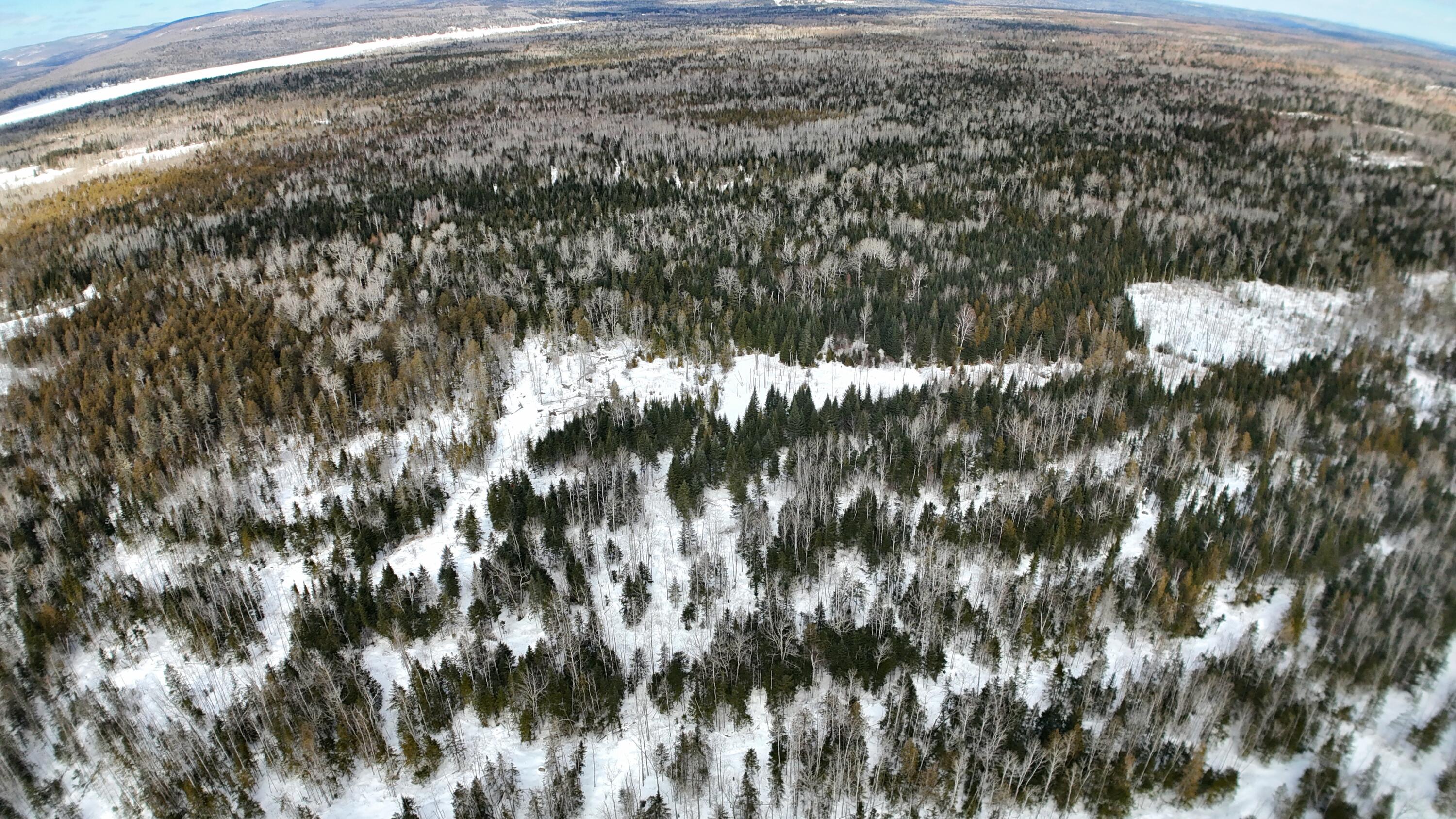 M2-l51 Quimby Road Winterville Plt, ME 04739 - Photo 8 of 14