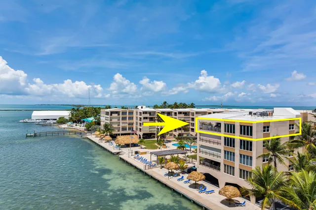an aerial view of a house with a swimming pool