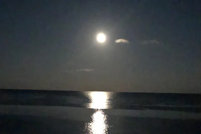 $1,500,000 | 79901 Overseas Highway, Unit 516, Islamorada, FL 33036