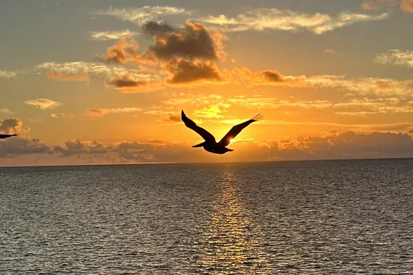 a view of livingroom with furniture