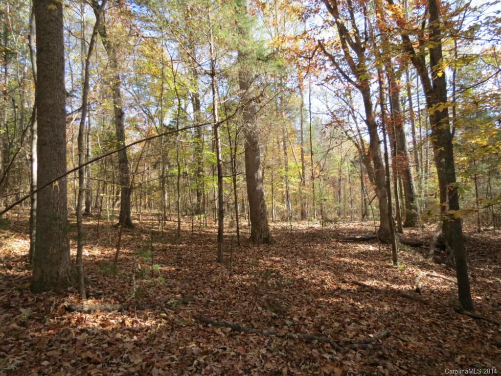27-ac Lincoln Road York, SC 29745 - Photo 3 of 21 Gallery Image 3