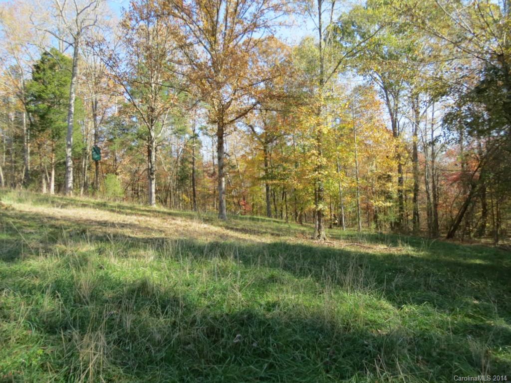 27-ac Lincoln Road York, SC 29745 - Photo 4 of 21 Gallery Image 4
