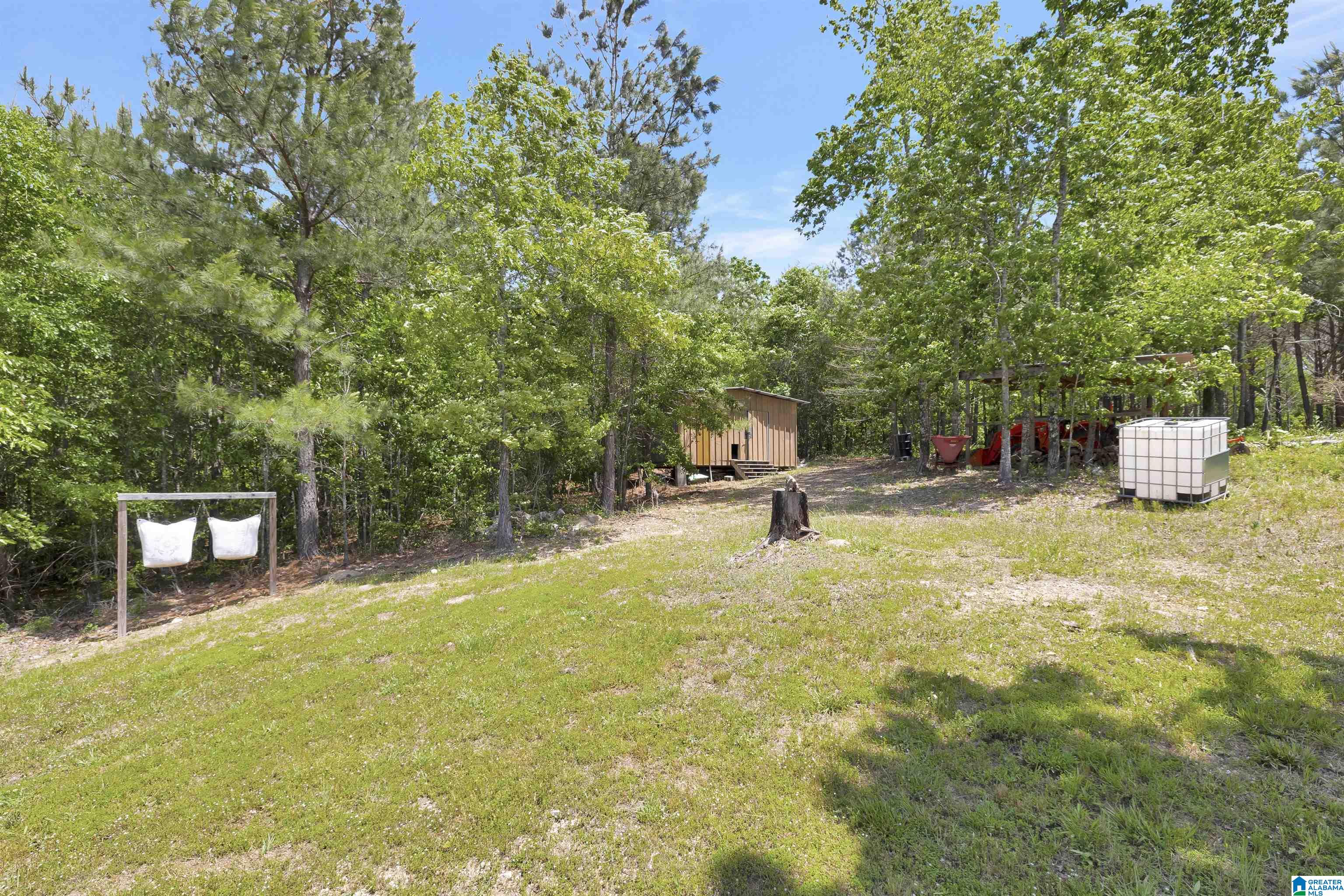 736 Old Beavers Road Cropwell, AL 35054 - Photo 45 of 50