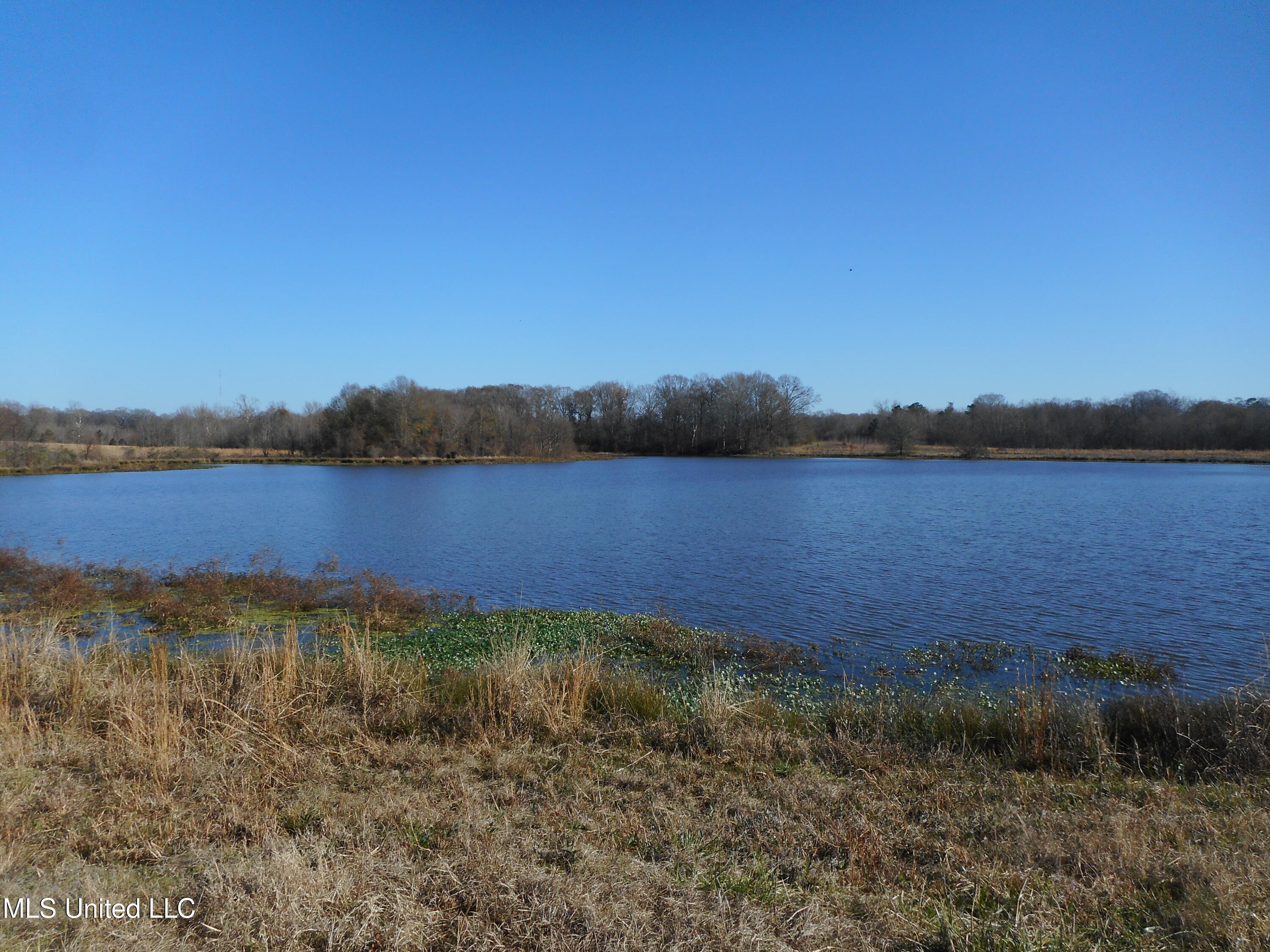 Chichester Road Edwards, MS 39066 - Photo 1 of 46 Lake