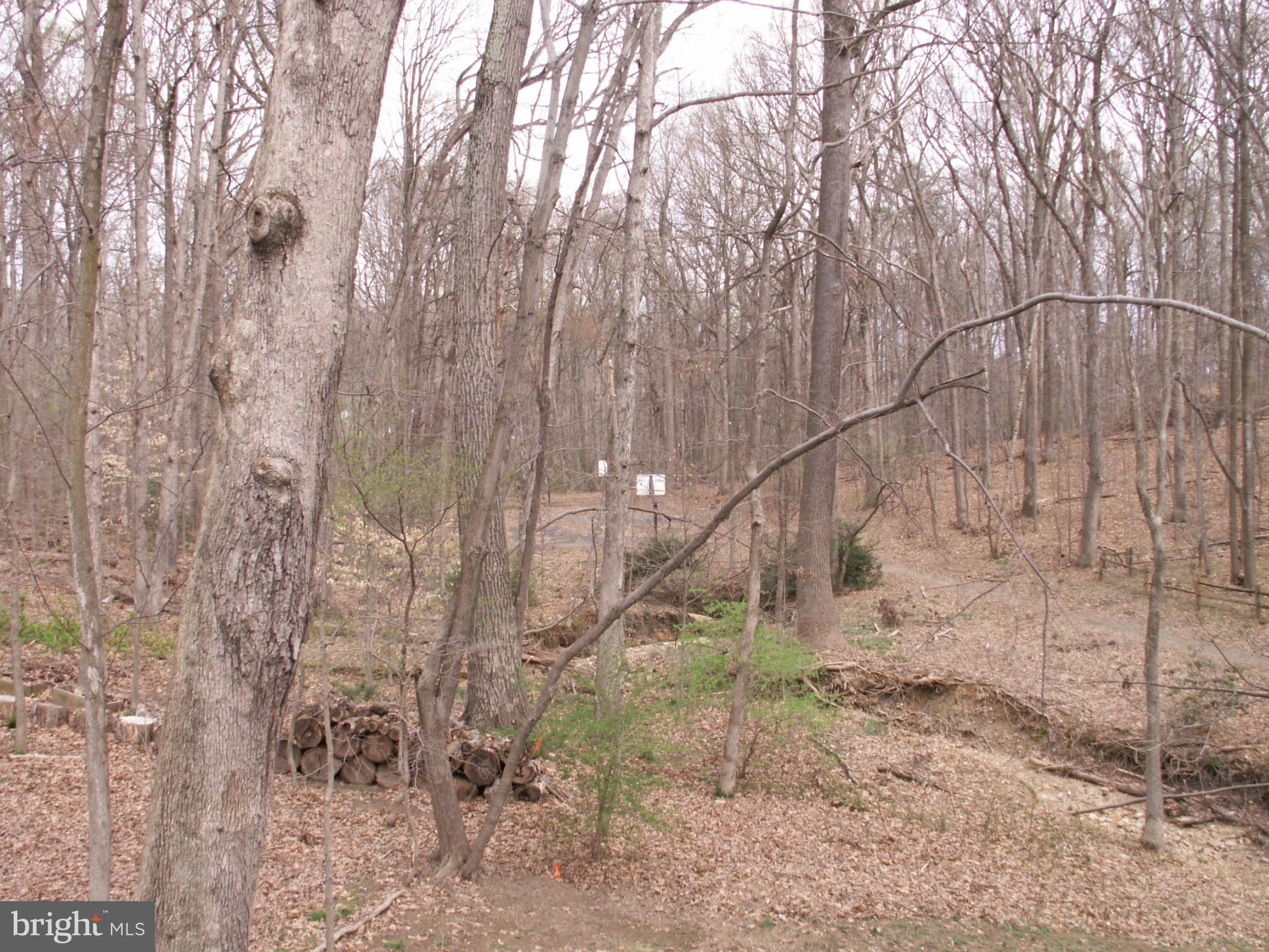 4519 Twinbrook Road Fairfax, VA 22032 - Photo 4 of 4 View from the deck