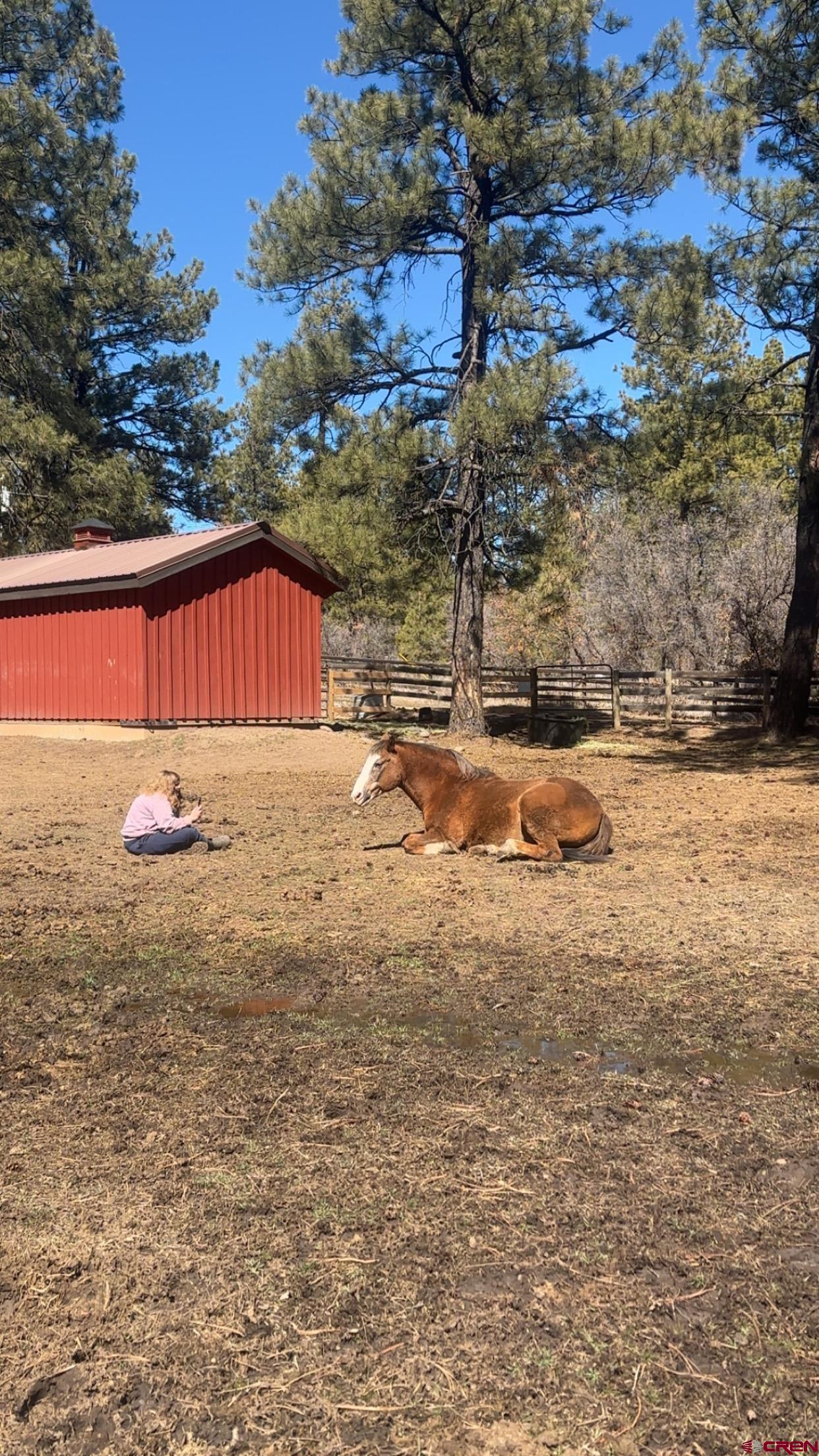 513 West Log Hill Road Pagosa Springs, CO 81147 - Photo 19 of 20
