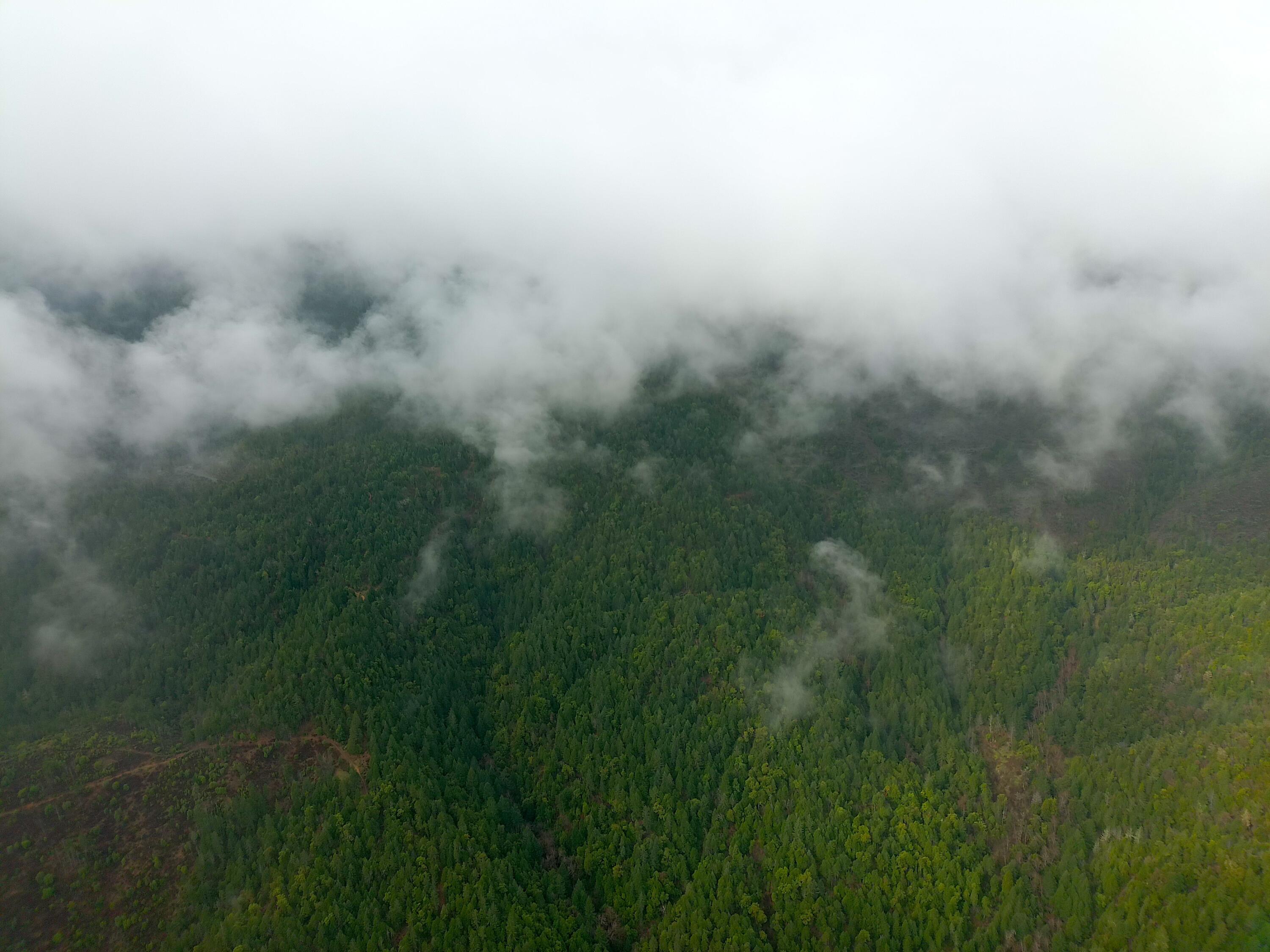 1834 Waters Creek Road Wilderville, OR 97543 - Photo 14 of 14 MAX_0033