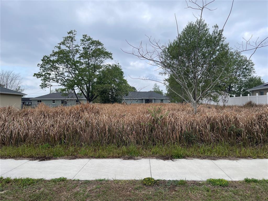0 Southeast Larch Road Ocala, FL 34480 - Photo 1 of 1 Gallery Image 1
