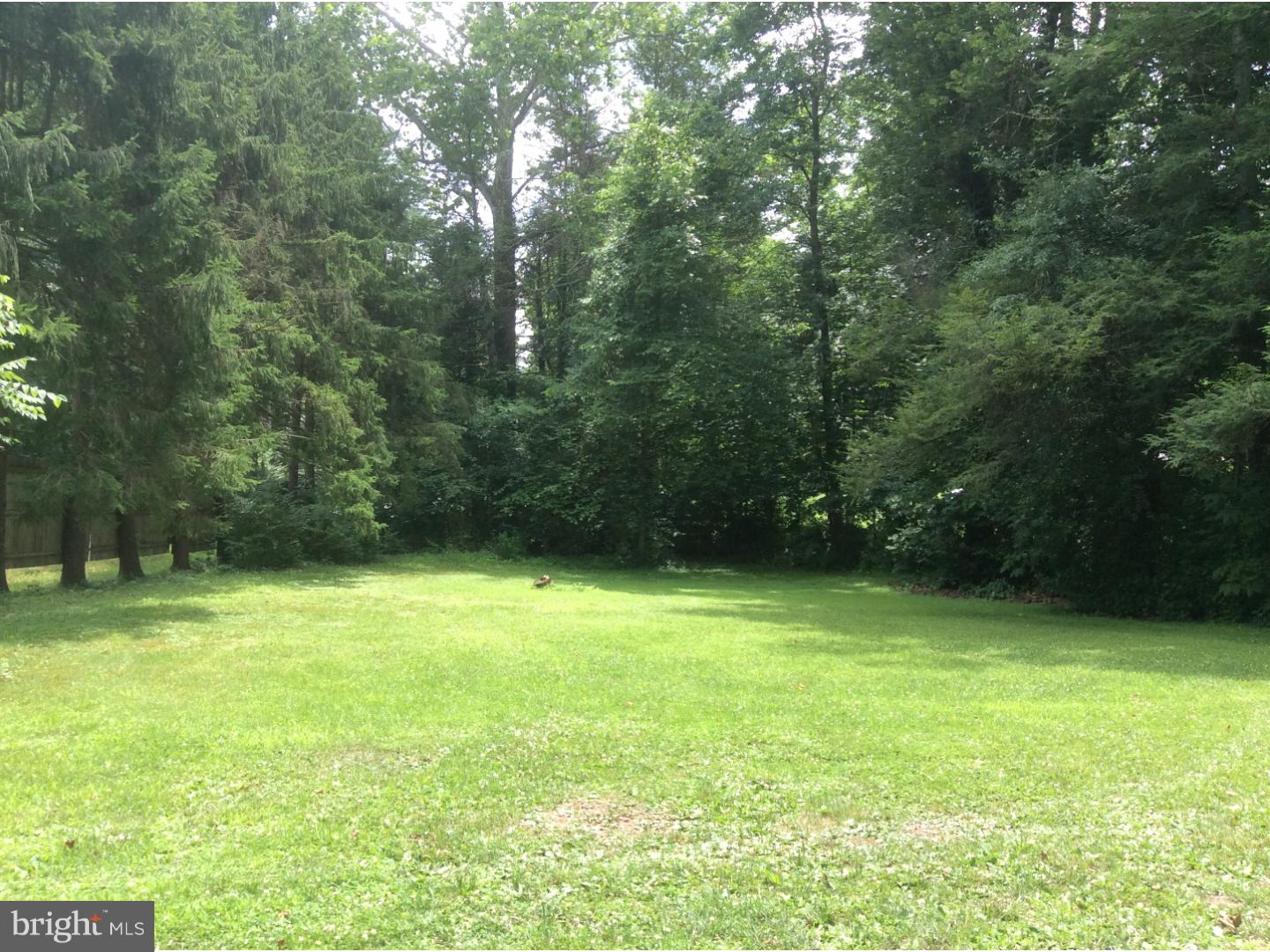 2405 New Holland Road Reading, PA 19607 - Photo 25 of 25 Back Yard