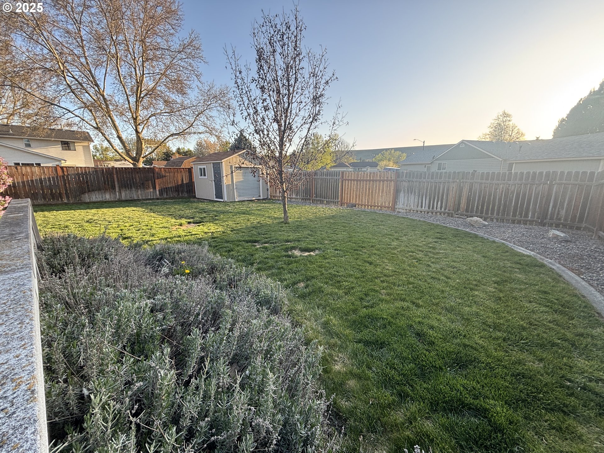 1101 Southwest 37th Street Pendleton, OR 97801 - Photo 18 of 22 a view of a backyard with large trees