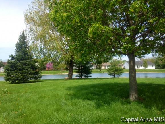 100 Resina Drive Springfield, IL 62703 - Photo 1 of 1 Gallery Image 1