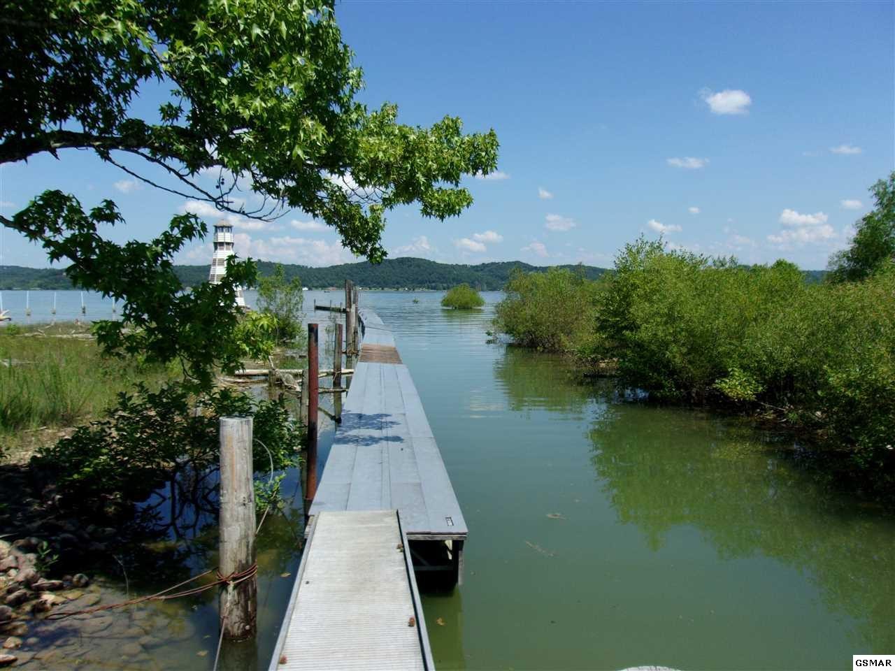 984 Harrison Ferry Road White Pine, TN 37890 - Photo 35 of 36 Gallery Image 35
