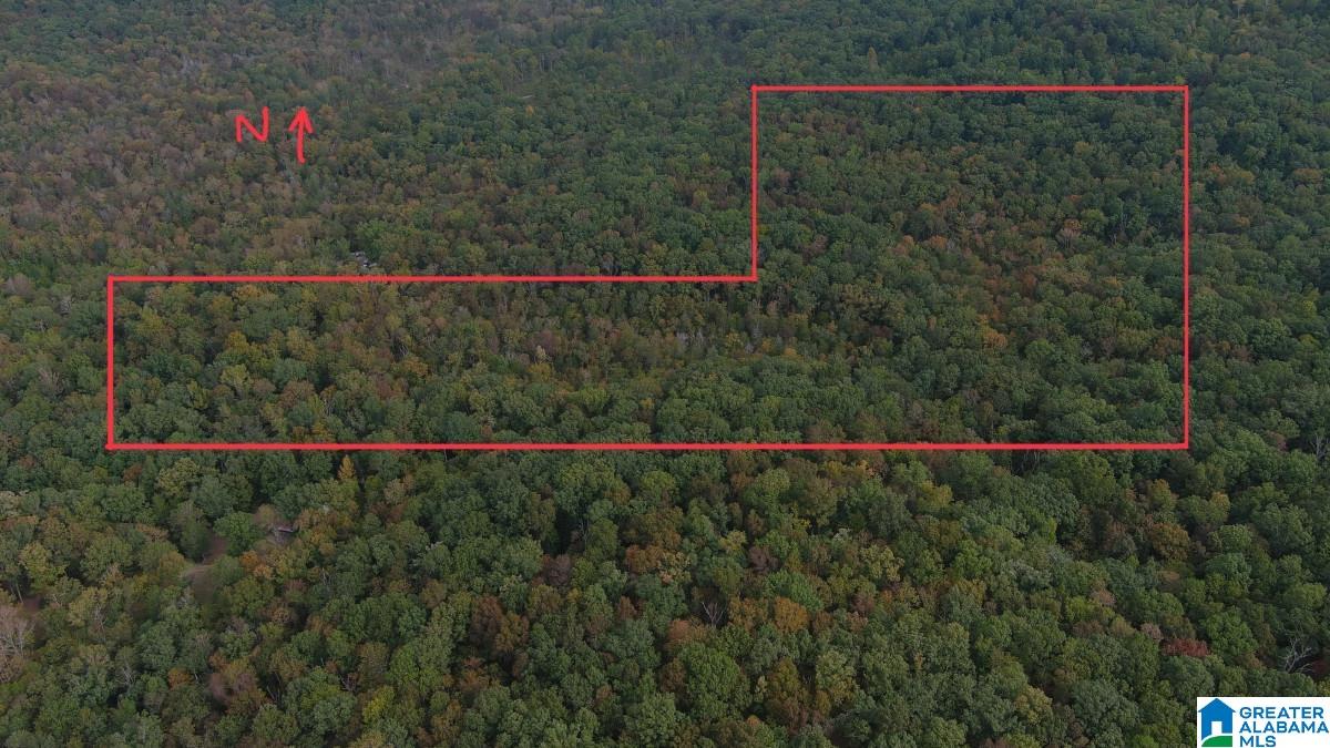 0 Cathedral Caverns Road Woodville, AL 35776 - Photo 14 of 14