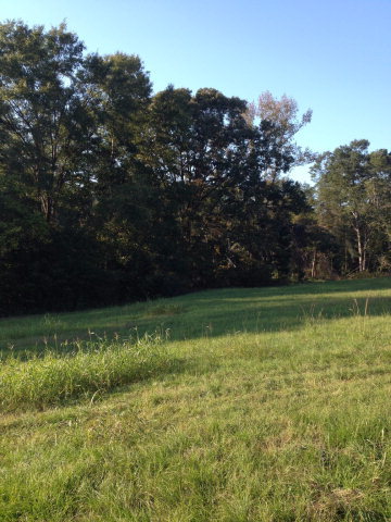 0 Harris Morton Road Gray, GA 31032 - Photo 3 of 3 a view of a yard