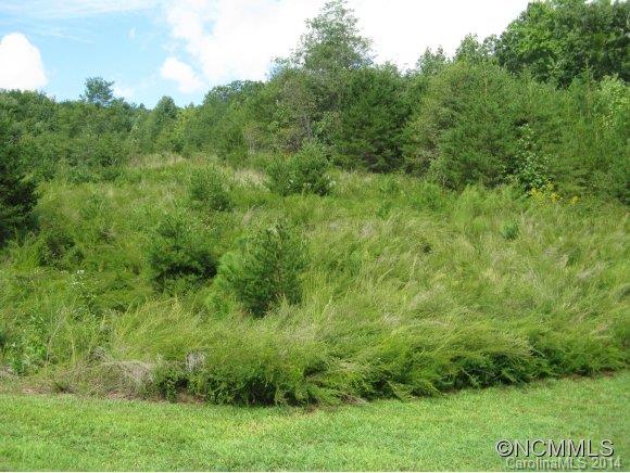 Lot 61 Deep Gap Farm Road East Mill Spring, NC 28756 - Photo 1 of 6