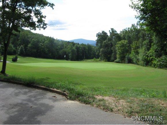 Lot 61 Deep Gap Farm Road East Mill Spring, NC 28756 - Photo 2 of 6