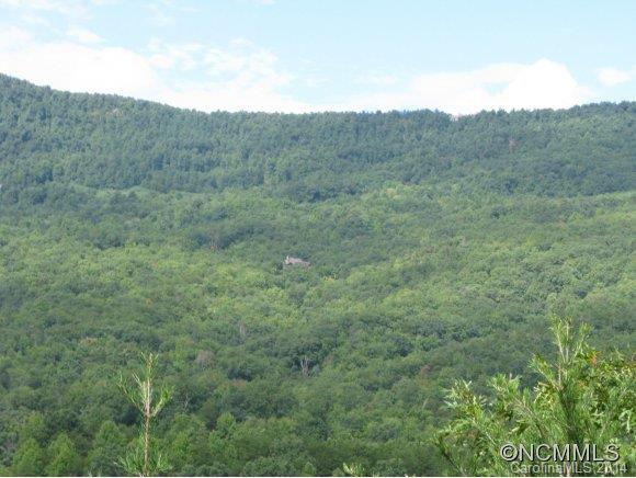 Lot 61 Deep Gap Farm Road East Mill Spring, NC 28756 - Photo 3 of 6