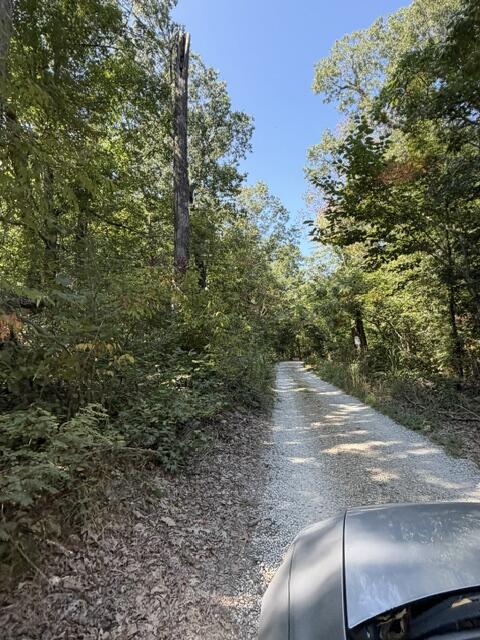 590 Walnut Grove Road Dawson Springs, KY 42408 - Photo 4 of 34 Gallery Image 4