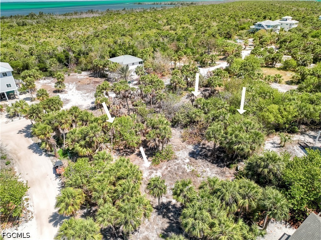 4430 Conch Shell Drive Upper Captiva, FL 33924 - Photo 22 of 32 a view of a yard with plants