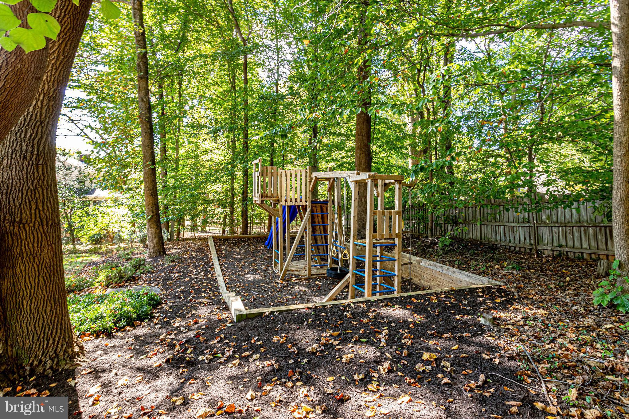 814 Ridge Drive McLean, VA 22101 - Photo 48 of 49 Rear Yard