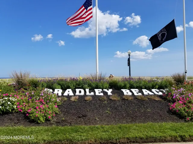a view of a bunch of flowers