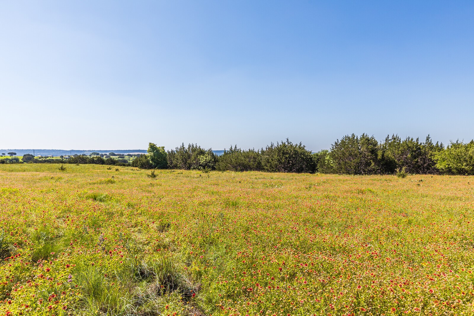 3300 County Road 3300 Kempner, TX 76539 - Photo 11 of 24