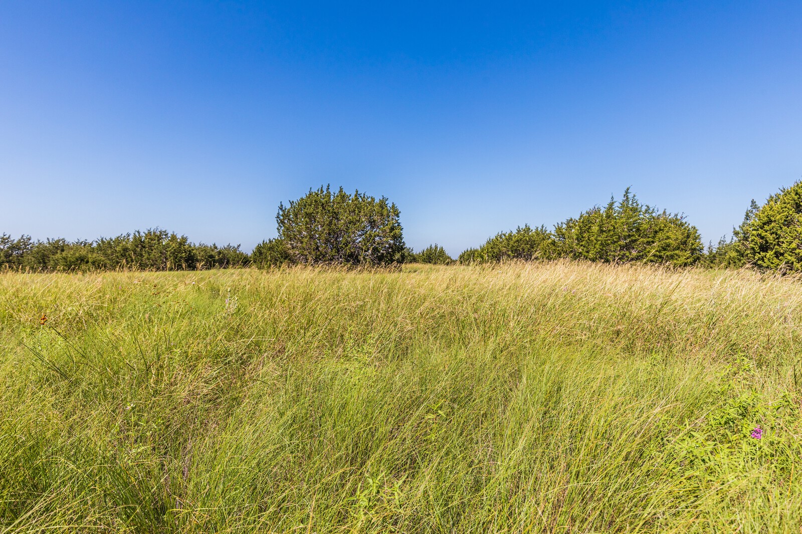 3300 County Road 3300 Kempner, TX 76539 - Photo 18 of 24