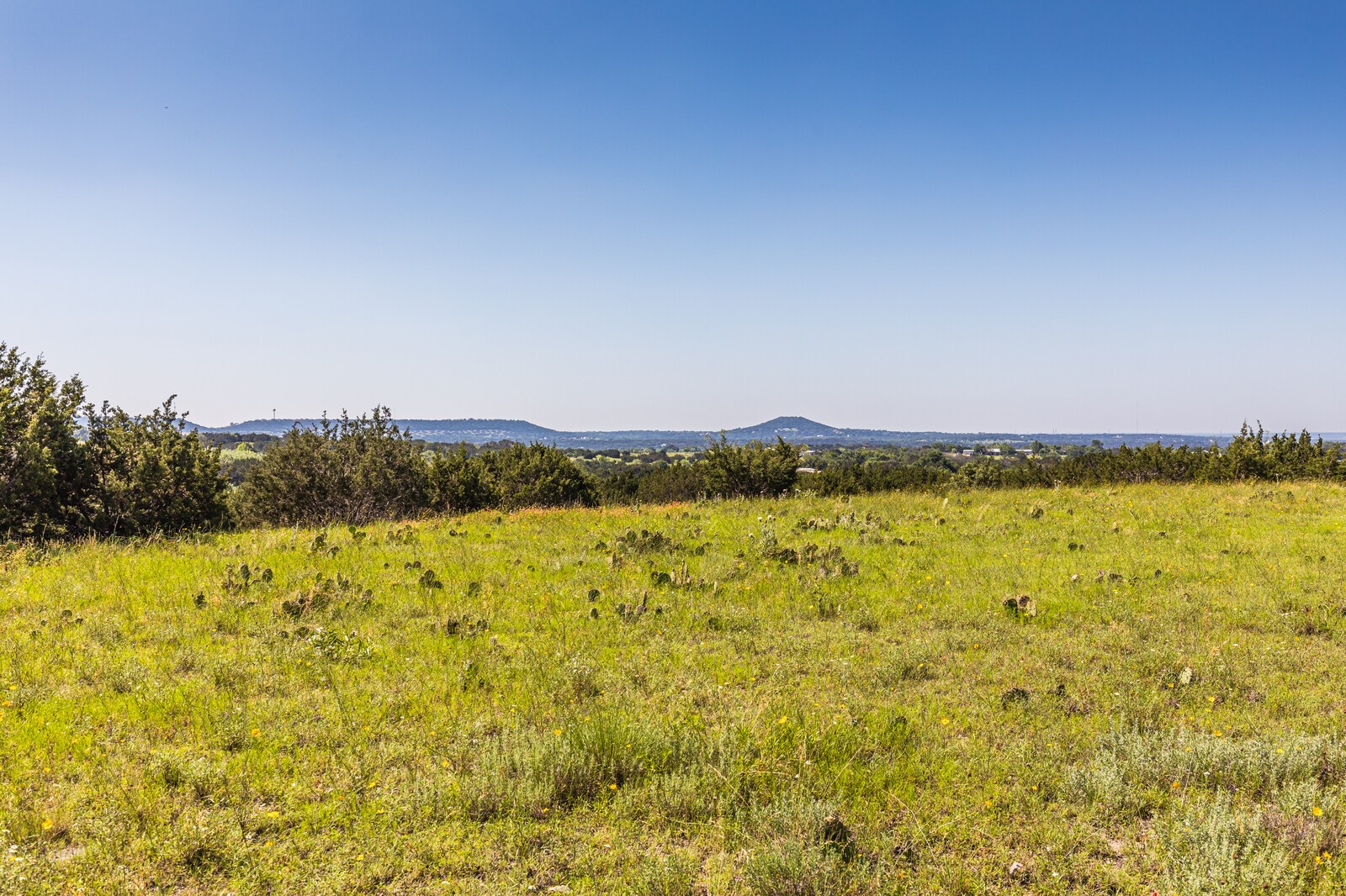 3300 County Road 3300 Kempner, TX 76539 - Photo 8 of 24