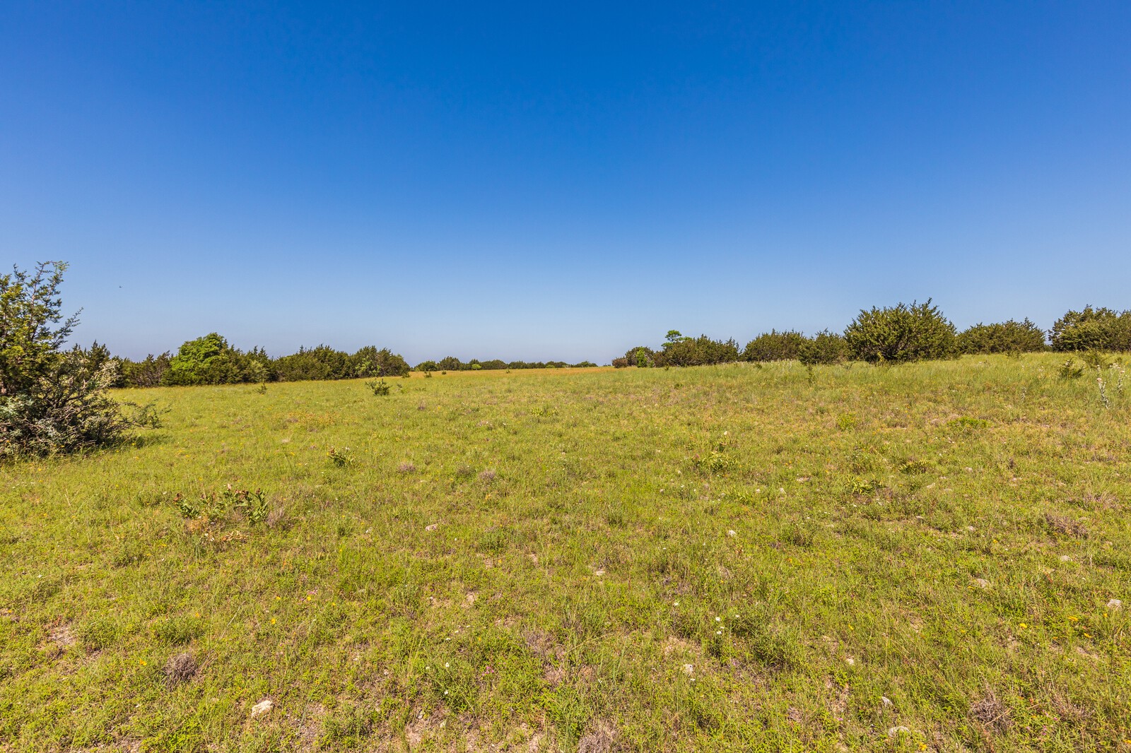 3300 County Road 3300 Kempner, TX 76539 - Photo 10 of 24