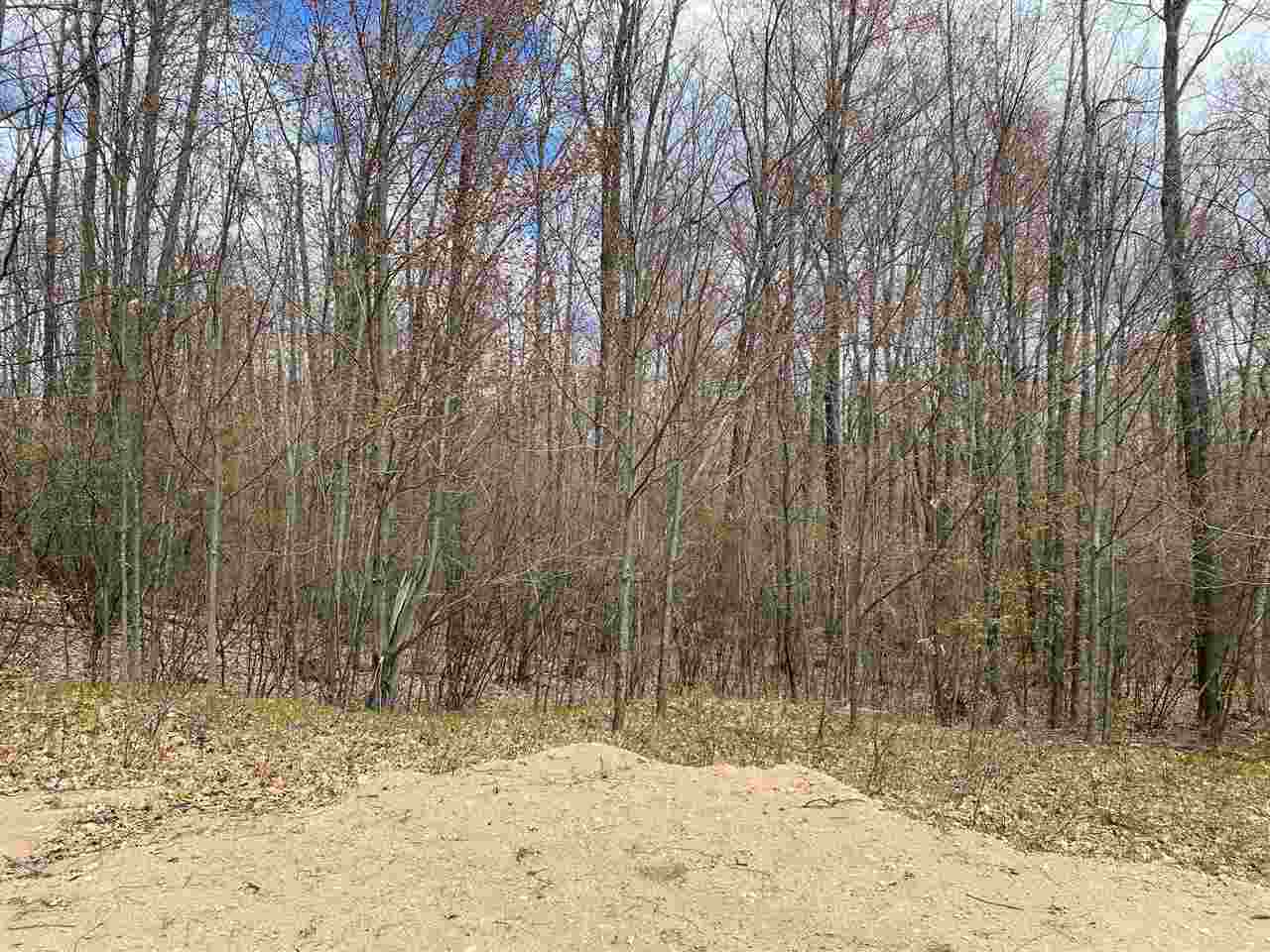 435 East Townline Lake Road Harrison, MI 48625 - Photo 5 of 24
