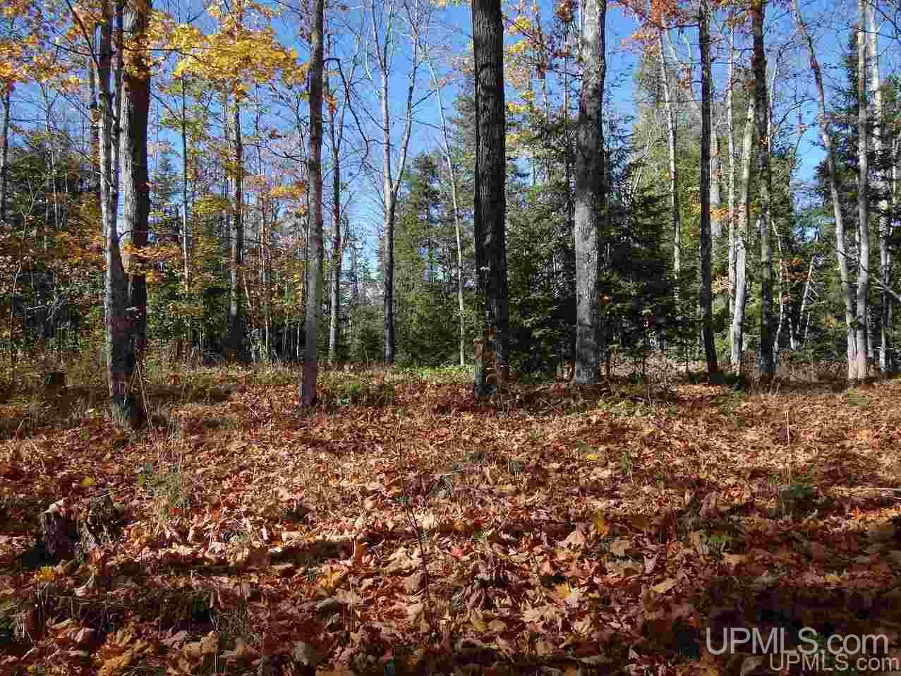 Tbd Payne Road Pelkie, MI 49958 - Photo 9 of 19