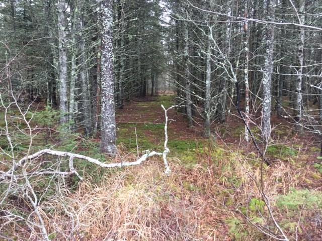 257 Kelley Point Road Jonesport, ME 04649 - Photo 3 of 5 Photo