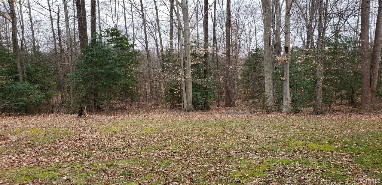 3963 Cedar Plains Road Sandy Hook, VA 23153 - Photo 10 of 12 a view of a forest with trees in the background