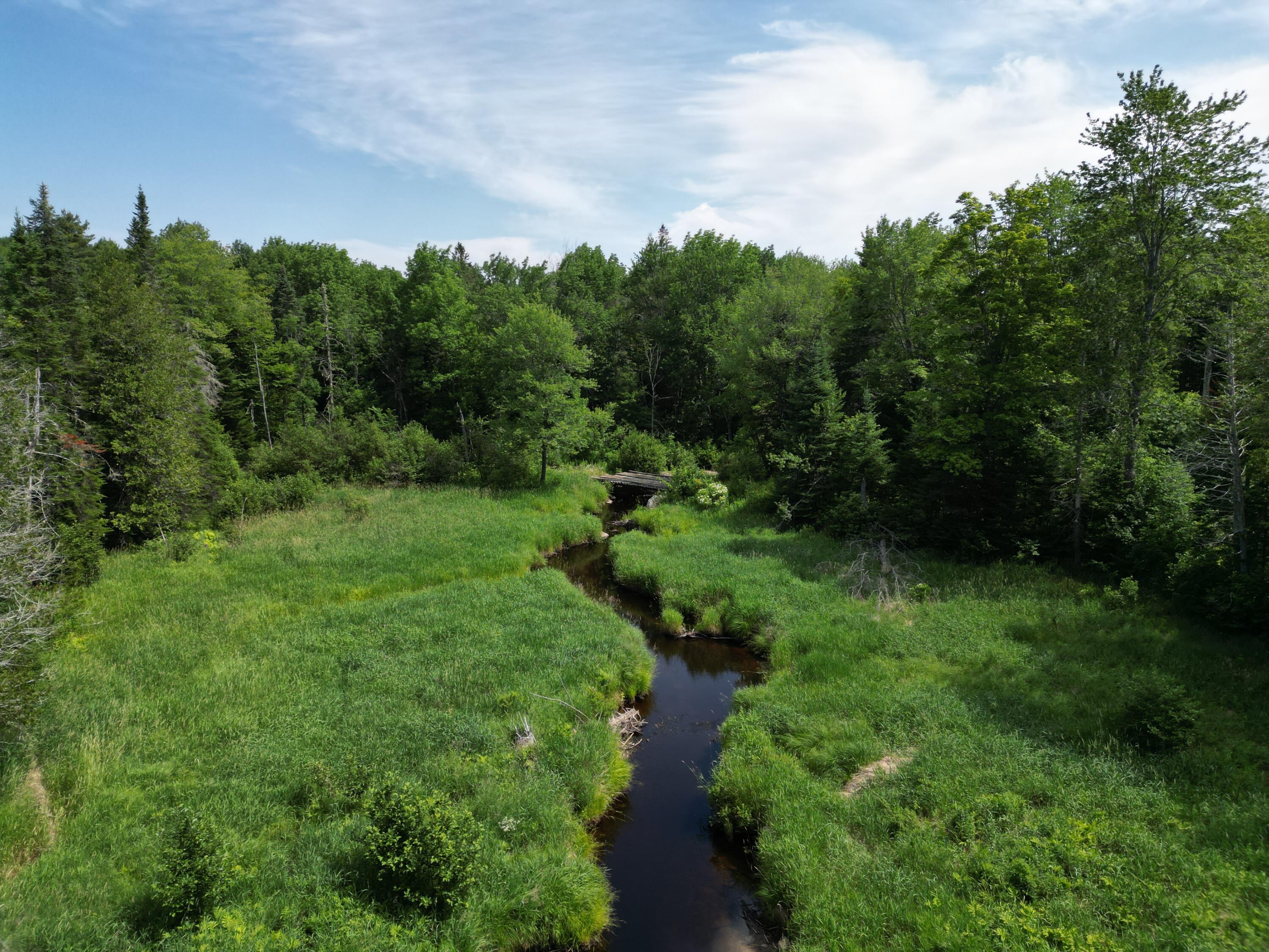 Lot 2 Main Road Carroll Plt, ME 04487 - Photo 12 of 23 DJI_0875