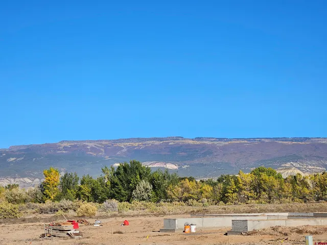 a view of city and mountain