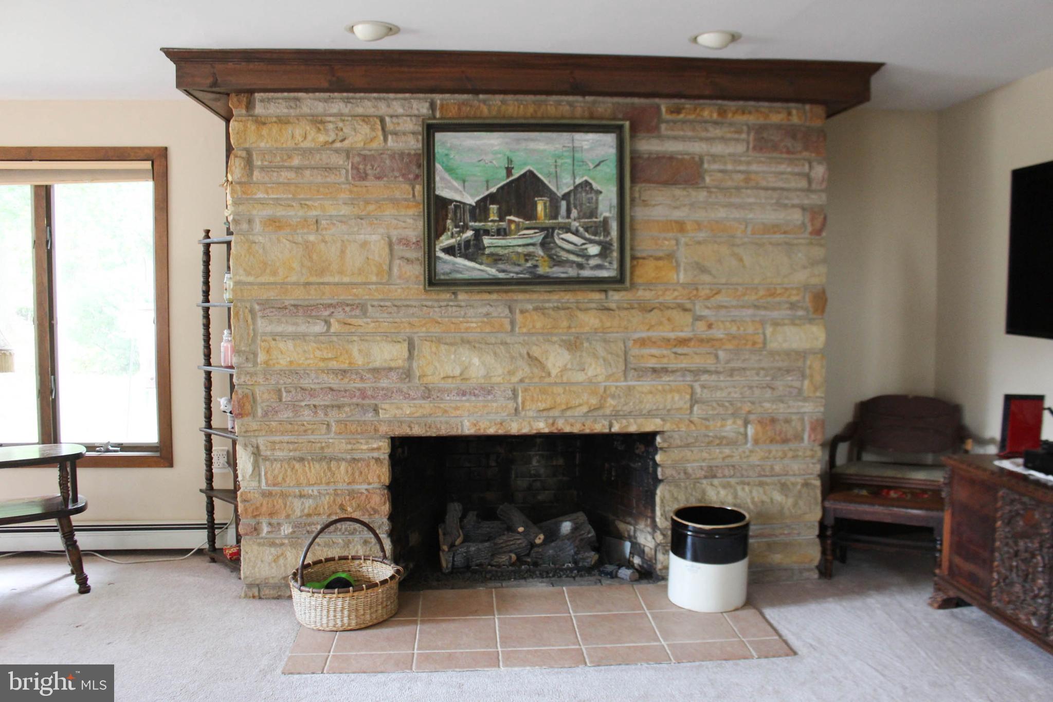 1046 Eagle Road Huntingdon Valley, PA 19006 - Photo 41 of 108 Fireplace- Propane