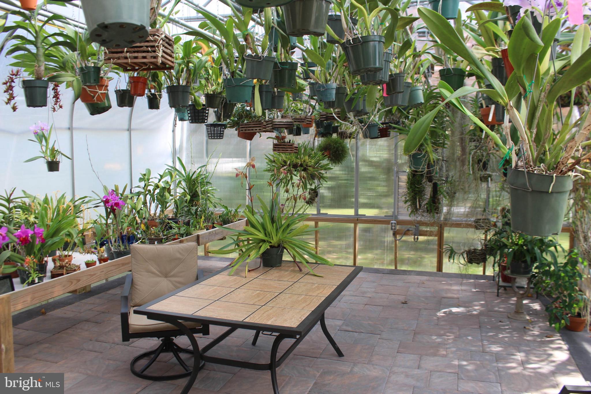 1046 Eagle Road Huntingdon Valley, PA 19006 - Photo 50 of 108 Greenhouse