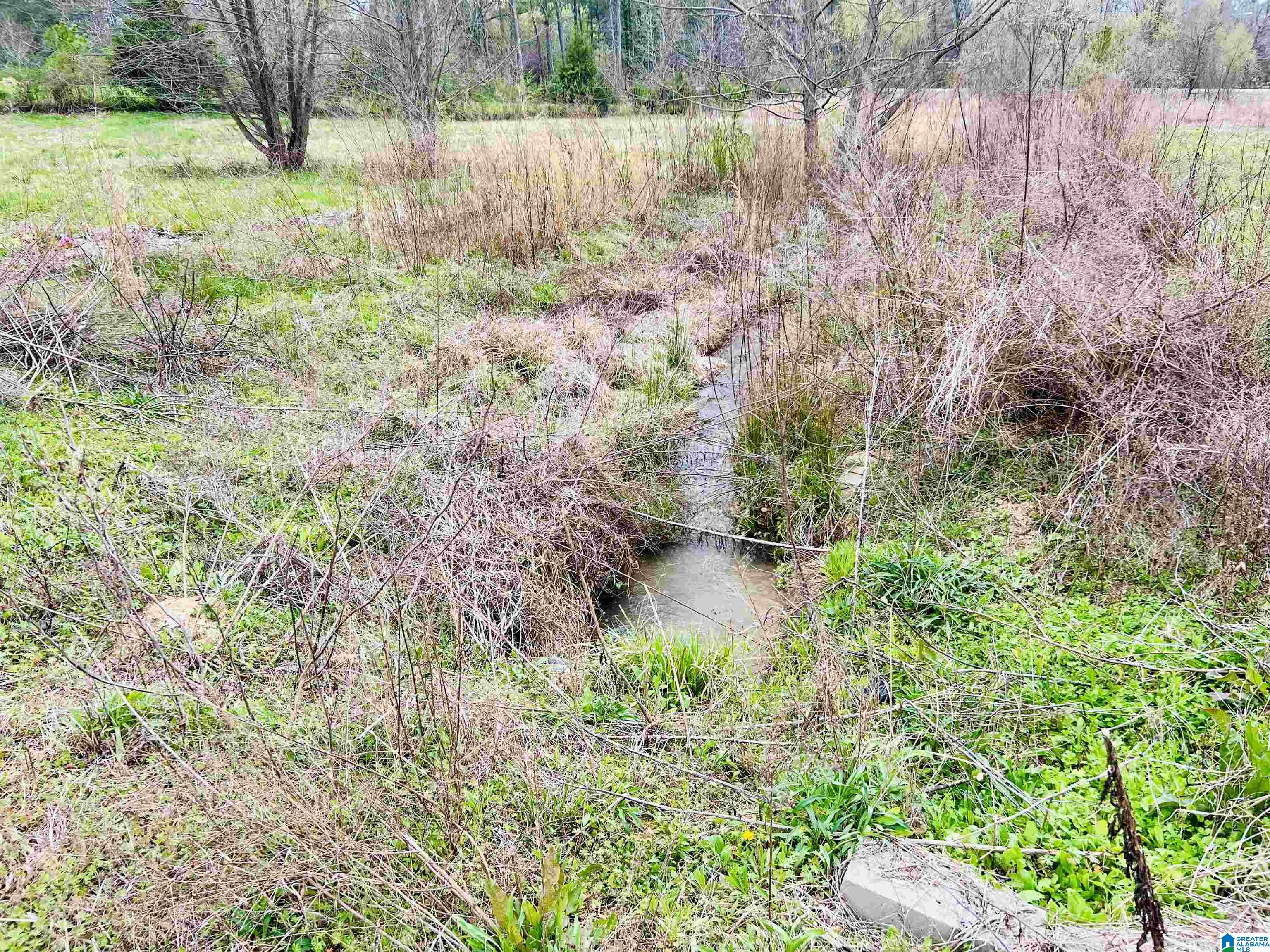 1111 Baty Road Cleveland, AL 35049 - Photo 11 of 35